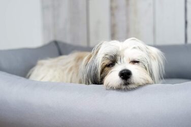 Водонепроникне ліжко для собак 4L Textil Koko великих порід, корзина для собак, знімний та пральний чохол, коричневий (100x80 см)