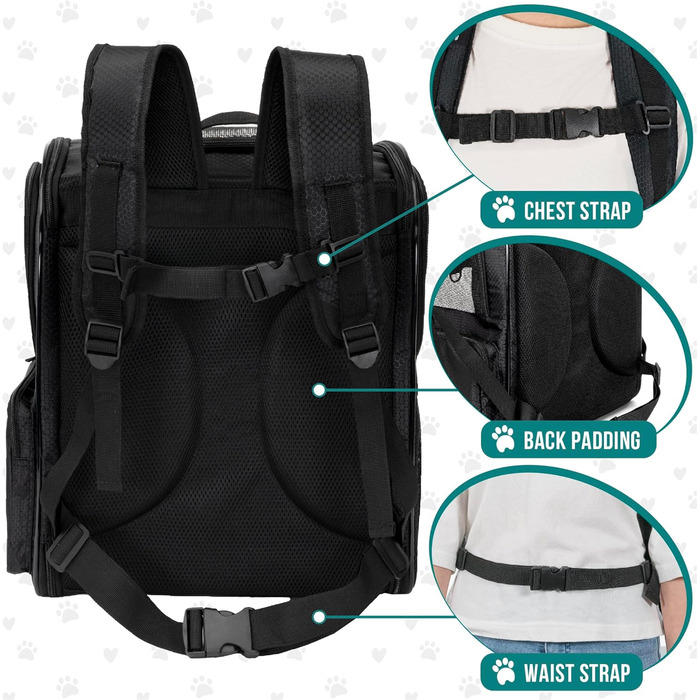 Рюкзак для котів та собак PetAmi Medium, чорний, з вентиляцією, для подорожей та перевезення в літак