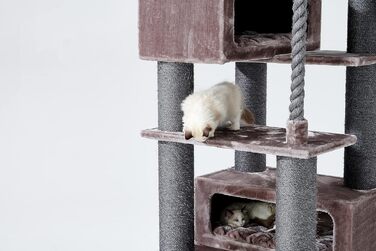 Когтеточка для великих котів Petrebels Turnpike XXL 190 см, стовпи Ø15 см, капучино, міцна конструкція, 76x76x190 см