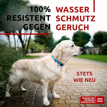 Нашийник для собак WAUDOG: водонепроникний, регульований, для великих, середніх та малих собак, металевий замок, блакитний (31-49 см, 25 мм)