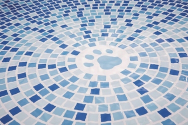 Складальний жорсткий басейн Intex для собак та тварин, 152x30 см, 48400