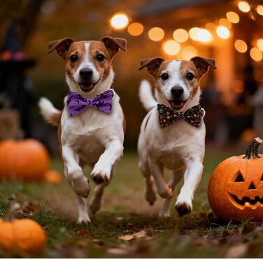 Персоналізоване собаче ошийник з металевою застібкою, двостороннє оксамитове ошийник з іменем та номером телефону, регульовані розміри для собак маленьких, середніх та великих порід (на Хелловін)