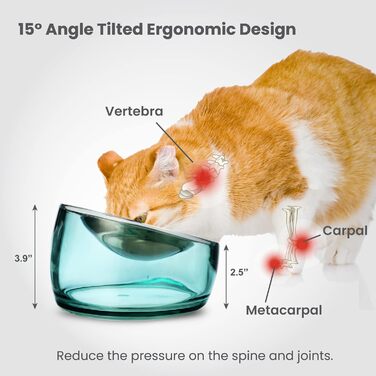 Felli Pet піднята миска для котів з нержавіючої сталі, антивтомна, антивиливна, кутова, плоска, проти блювання, акрилова підставка, для кошенят та цуценят