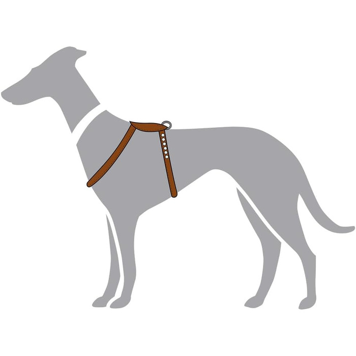 Нашийник для собак HUNTER Round & Soft Canadian UP, колір: Cognac, м'яка, еластична шкіра, оброблений край, не травмує шерсть, екологічний, Made in Germany, розмір: S/1 S/1 Cognac