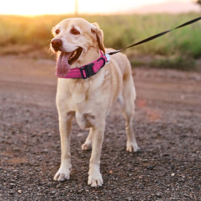 Тактичний нашийник для собак з контролем, нейлон, з м'якою підкладкою, металева застібка, для середніх та великих собак, для полювання, тренувань, на вулицю, сірий, розмір L, ширина L, сірий