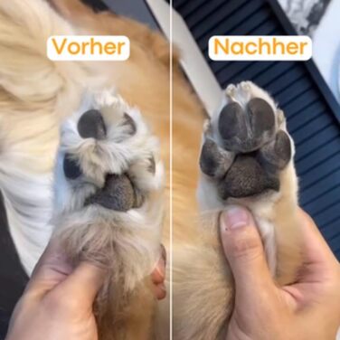 Електричний триммер для лап домашніх тварин - безшумний, водонепроникний, для собак та котів