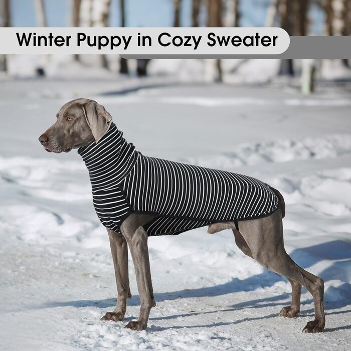 Теплий флісовий пуловер для собак, чорний, розмір S. Зручний зимовий одяг для маленьких, середніх та великих собак. Ідеальний для прогулянок у холодну погоду.