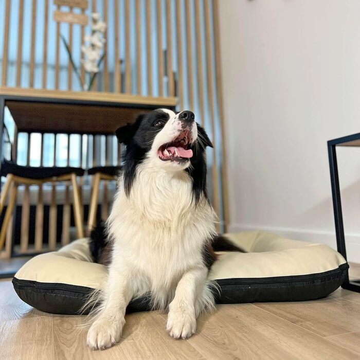 Килимок для собак 4L Textil Ella, 90x70 см, бежевий - водовідштовхувальне штучне шкіряне ліжко для собак середніх порід