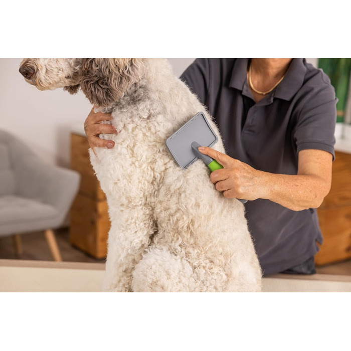 Вищипувальна щітка Wahl для собак і котів - професійний інструмент грумінгу, зелена ручка