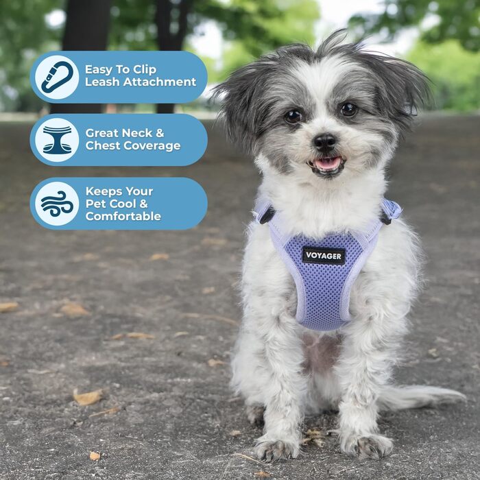 Шлейка для собак Voyager регульована з світловідбиваючими смугами Best Pet Supplies - міцна жилетка для повного тіла без натягу з кільцем для повідка D-подібної форми, дихаюча, Рожева, розмір XS (Обхват грудей: 13 - 16')
