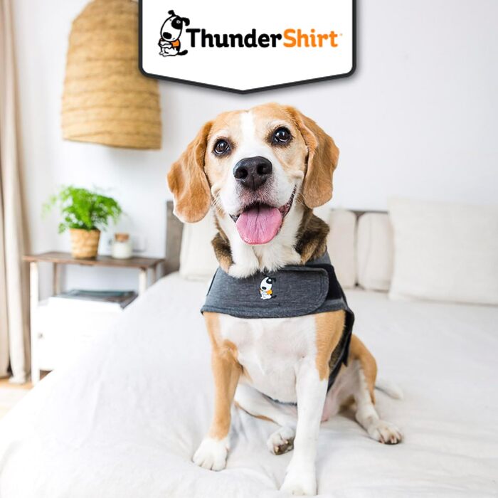 Накидка для собак Thundershirt, сіра (XL, сірий колір)