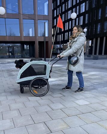 Причіп для велосипеда для собак до 40 кг, будівельник Active ONE 2в1, причіп для собак з підвіскою, світло-зелений