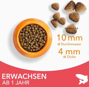 Сухий корм для котів IAMS з лососем для дорослих від 1 до 6 років, 10 кг