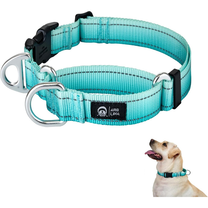 Відбиваюче нашийник для собак Martinage, нашийник-стоп для собак великих, середніх та малих порід, нашийник-стоп для Whippet, Greyhound, Saluki (Турквіс, S)
