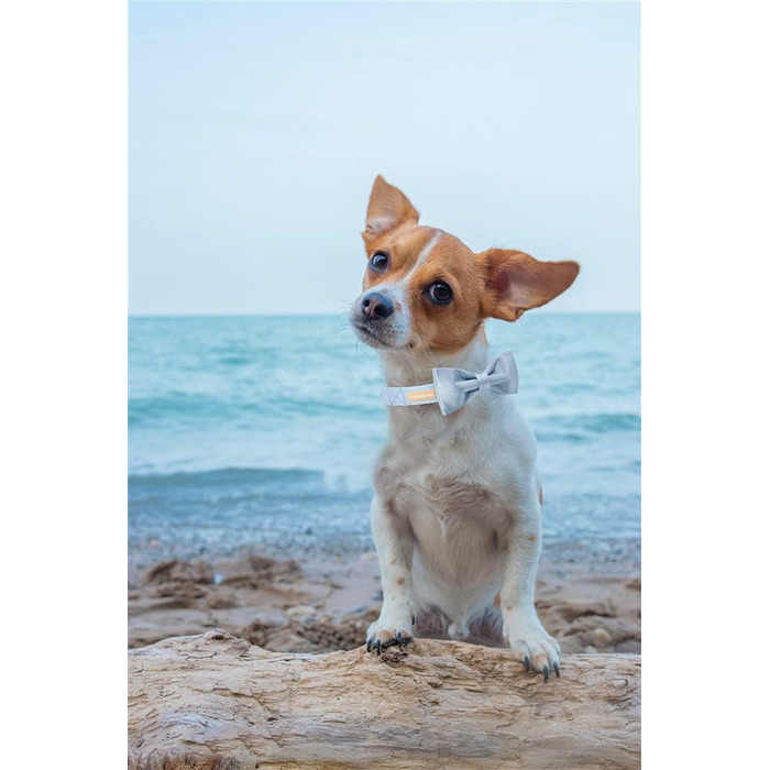 Елегантний краватка-метелик для собак, шовковий, регульований, з бантиком, для великих собак, розмір M (XL, блакитний)