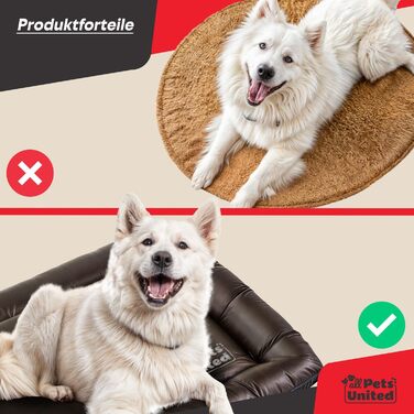 Лежак для собак і котів all Pets United® 100x70 см, водонепроникний, для дому та вулиці