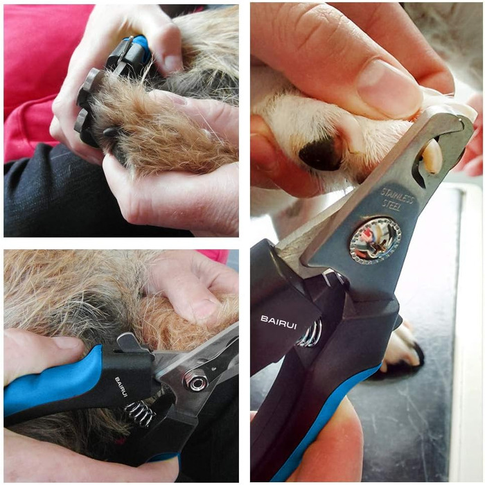 Професійний кусачки для обрізання кігтів собак та котів з пилочкою (блакитний)