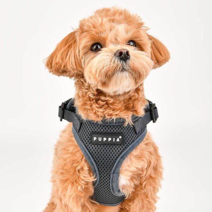 Шлея Puppia Ritefit для малих і середніх собак, регульована, м'яка, антизаплутуюча, для цуценят, бежева, розмір L