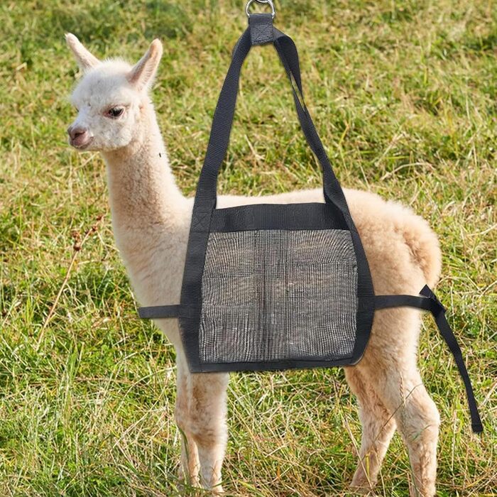 Гамак для грумінгу собак – гамак для догляду за шерстю, гамак для грумінгу домашніх тварин, шлейка для собак для стрижки нігтів, міцна підвіска для ніг з 2 D-подібними петлями для ніг