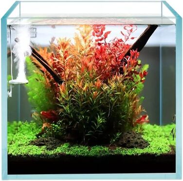 HIRO Aquatics Cube безрамковий акваріум з ультрапрозорого скла, 5 мм, з білим вирівнювальним килимком, опція кришки