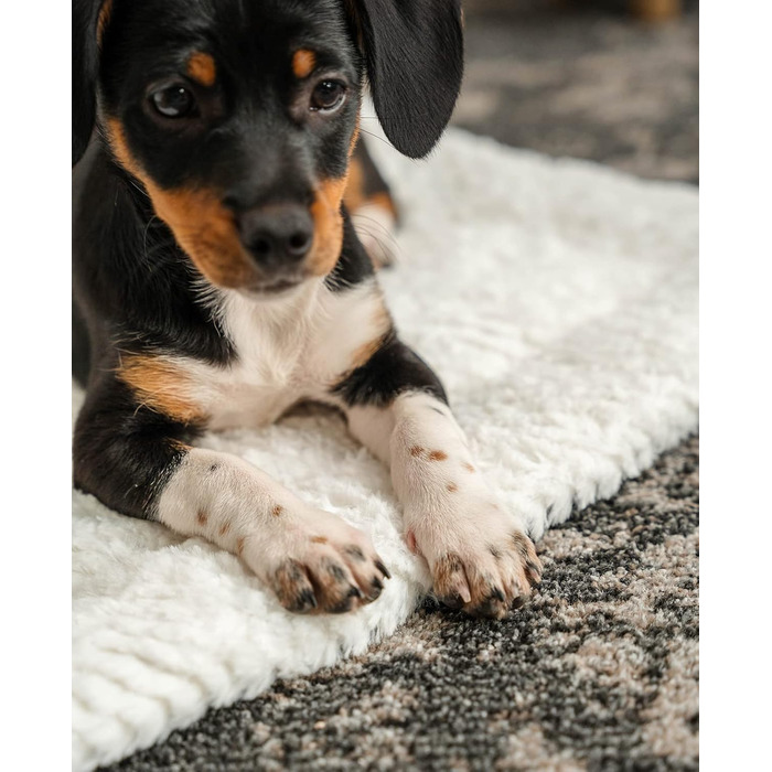 Килимок-підстилка Lionto для собак та котів, зігріваючий, 75x55 см, сірий