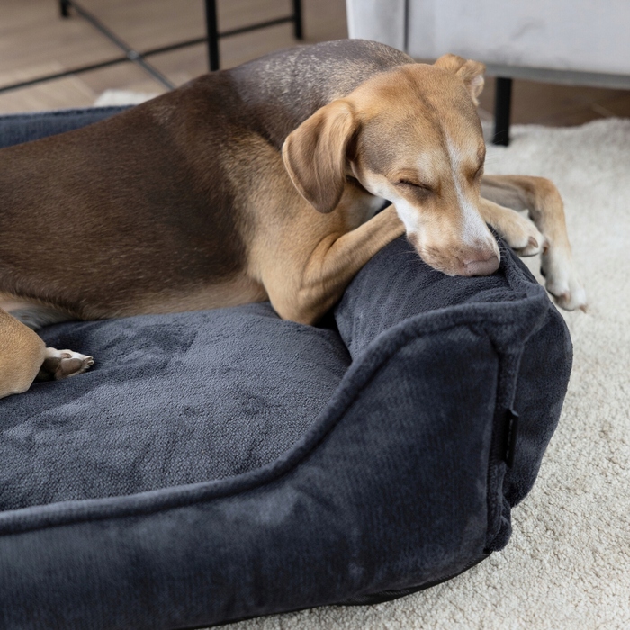 Ортопедичне лежак для собак IRIS, 60x40 см, Графіт