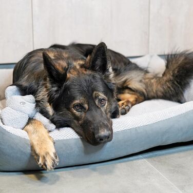 Квіткове ліжко для котів та собак 4L Textil Teo: м'яке, зручне, миється, 60x40 см, сірий колір