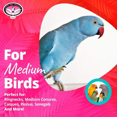 Super Bird Creations SB669 Плетений кошик для папуг середнього розміру, іграшка для кільчастих, конур, квакерів, кайків, піонусів, сенегалів, різнокольорова з хрусткими текстурами, 25,4 x 10,2 x 12,7 см