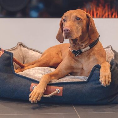 Крісло-лежанка для собак TRIXIE Nordic Föhr, 60x50 см, чорний/пісочний – зручне ліжко для собак великих та малих порід з ручкою для перенесення, м'яке та миється