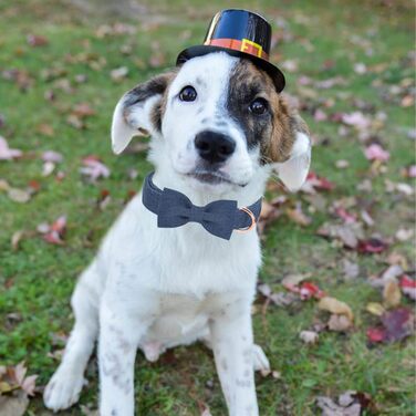 Нашийник для собак Aring Pet на Різдво, бавовняний нашийник з бантом, милий нашийник для собак, подарунок з металевою пряжкою, для великих собак (XS, темно-синій)