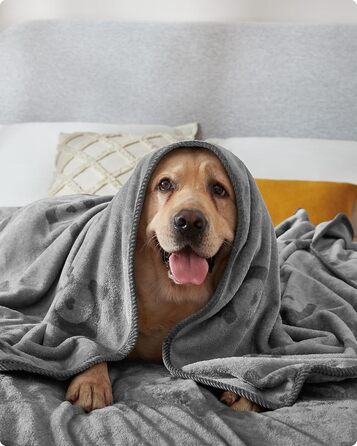 Набір з 3-х простирадл для собак Feandrea, 152x127 см, фланель, сірий, для середніх та великих собак, захист дивану