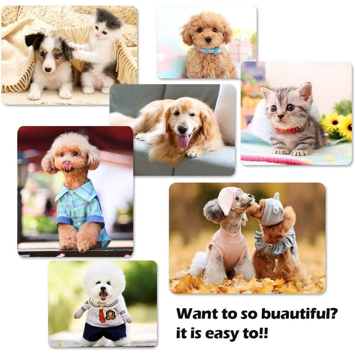 Ножиці для грумінгу собак та котів, професійні ножиці для догляду за шерстю, нержавіюча сталь