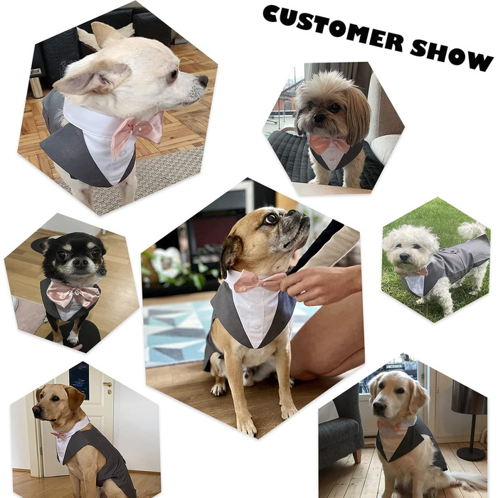 Костюм для собак 