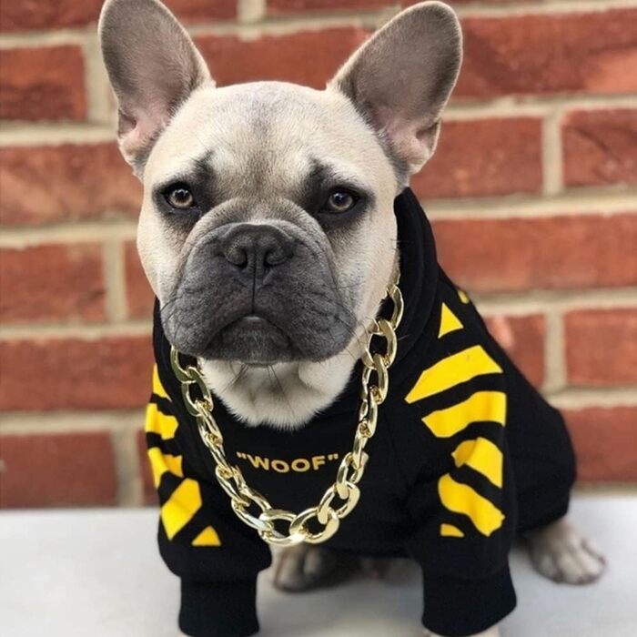 Жовтий теплий зимовий одяг для собак, курточка-худі для маленьких порід (Шнауцер, Коргі, Французький бульдог, Тедді) XXL