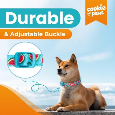 Нашийник і повідець для великих собак Cookie Paws, нейлоновий з м'яким неопреном, регульований, з швидкозастібкою, дихаючий, легкий у догляді, стильний дизайн «Кавун»