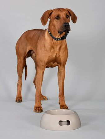 UNITED PETS Pappy велика миска для собак, екологічна, Італія, рожева, 2200 мл