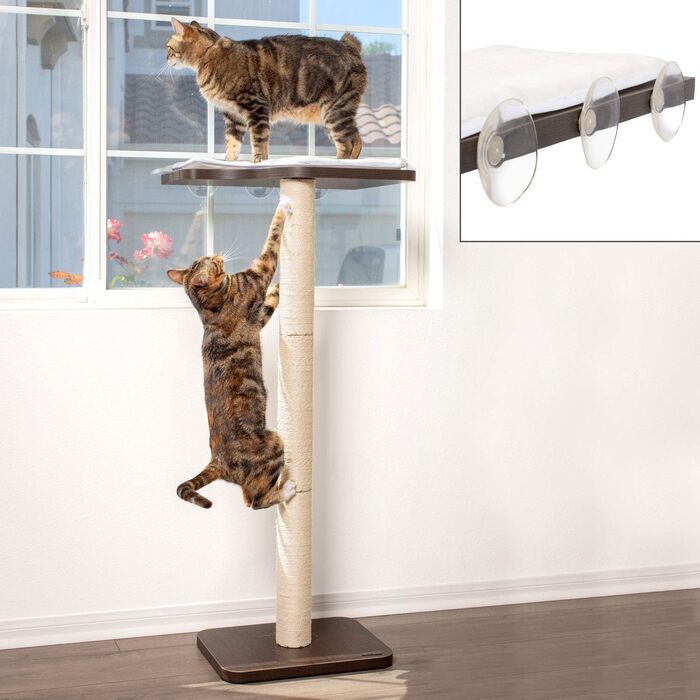 PetFusion Ultimate котяча підвіконна когтеточка 114,3 см, сучасний дизайн, стовпи з сизалю, легке кріплення на вікно