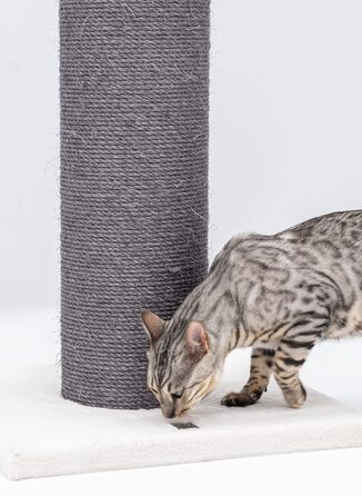 Дряпак для великих котів Petrebels Savannah XXL 86 см, висока якість, товста стовп-колона Ø20 см, оф-вайт