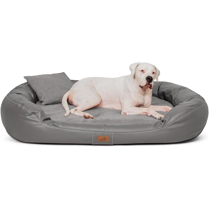 Ортопедичне ліжко для собак Tierlando® Lennart VIP з віскоеластичною матрацом та легкою у догляді оббивкою з штучної шкіри. Розмір: 85x65 см, Колір: сірий (06), Розмір: 140 x 100 x 30 см