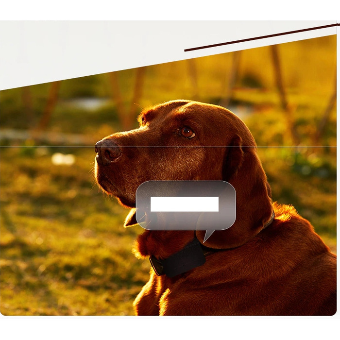 GPS-нашийник-локатор для собак з акумулятором 1200mAh, SOS-функція, керування через додаток, без абонплати