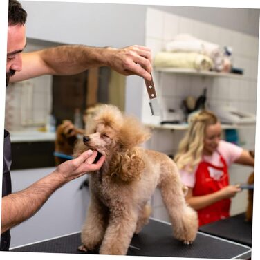 Набір гребінців для грумінгу тварин VANZACK: дерев'яні та металеві гребінці для собак та котів