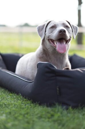 Лебон - Ортопедичне ліжко для собак Паула Плюс, Чорний колір - 3 розміри (80, 100, 120 см), з блискавкою, для прання, легко чиститься, водовідштовхувальне (XL)