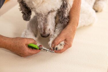 Кусачки для нігтів котів та собак Wahl, професійні, зелені