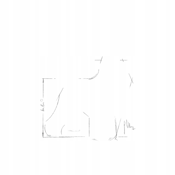 Сухий корм Royal Canin BHN Miniature Schnauzer Adult для дорослих мініатюрних шнауцерів, 3 кг