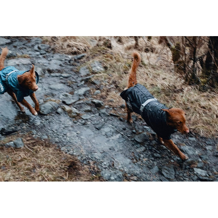 Дощовик для собак Hurtta Monsoon, BlackBerry, 20.3 см