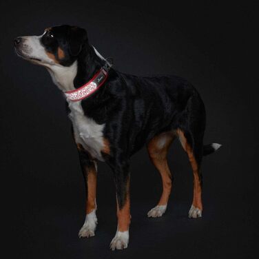 Шолом HUNTER Divo Reflect сірий (червоний, S)