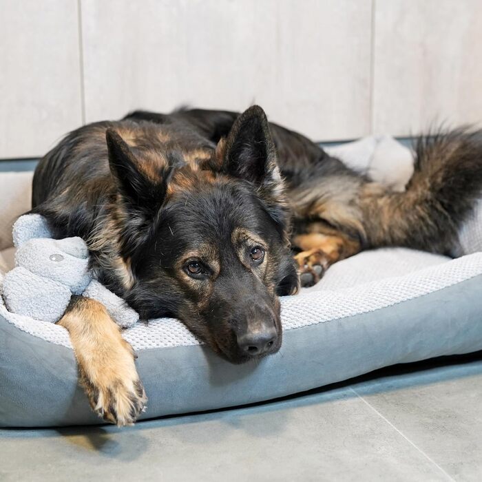 Квіткове ліжко для котів та собак 4L Textil Teo: м'яке, зручне, миється, 60x40 см, сірий колір