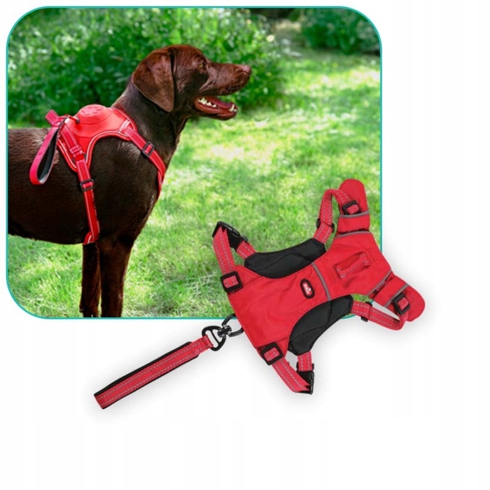 Шлейка для собак (розмір L), червона, з інтегрованою ручкою-поводцем + ласощі з лосося
