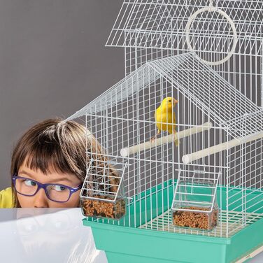 Клітка для птахів Relaxdays, сталева, для маленьких канарок, з сідалками та годівницями, 50x42,5x33,5 см, блакитна/м'ятна