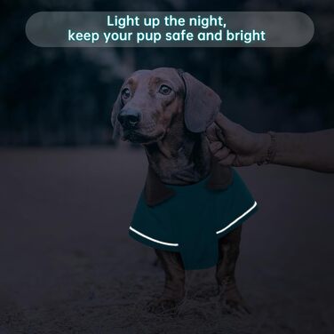 Зимовий антідощовий антівітряний антіфільтр для такс, тепла куртка для собак, теплий антіфільтр для собак з захистом живота та отвором для повідка, зимові куртки для собак (S, Marine)